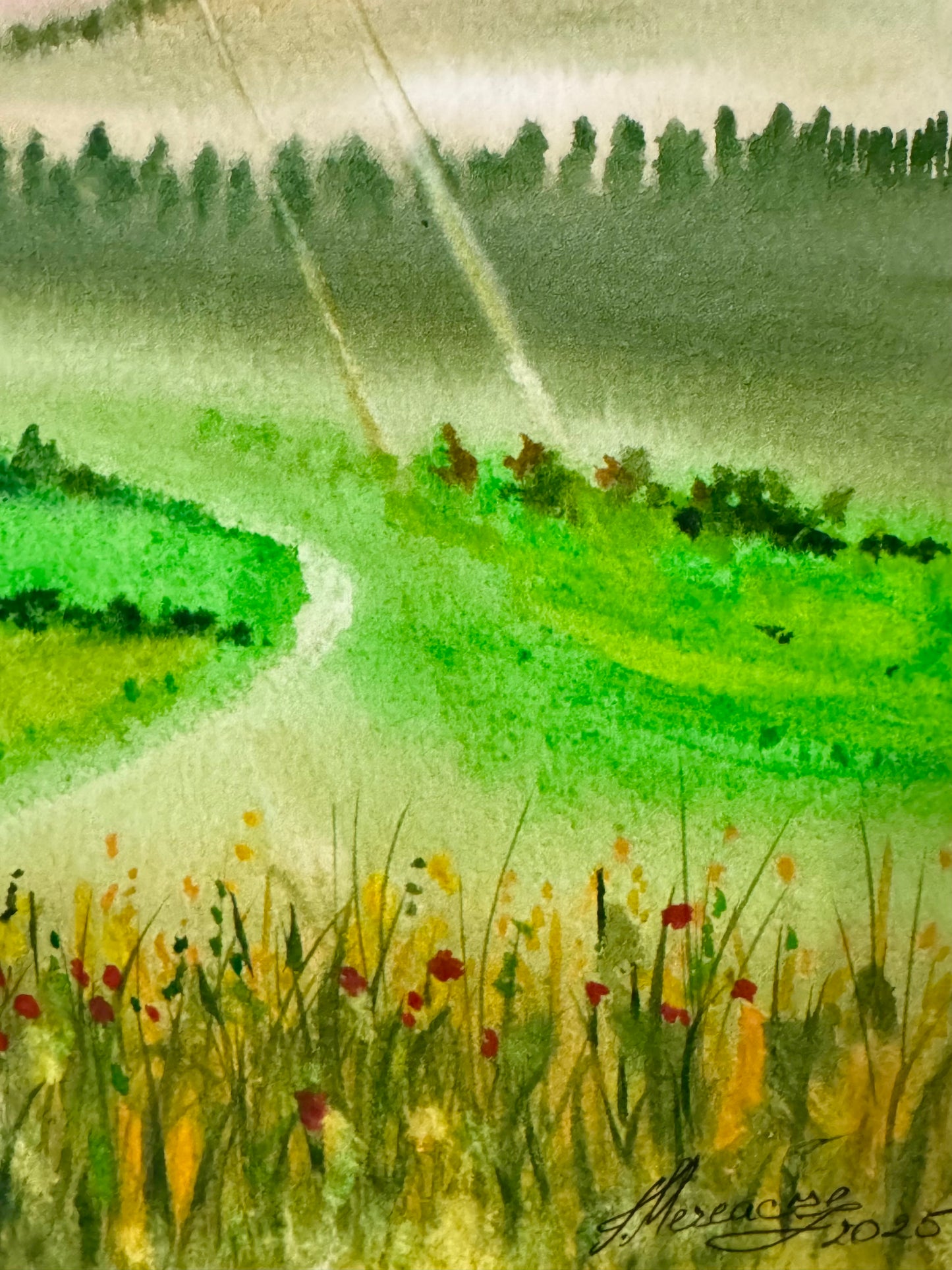 “The Tuscan Path” — Tatiana Mereacre (2025)