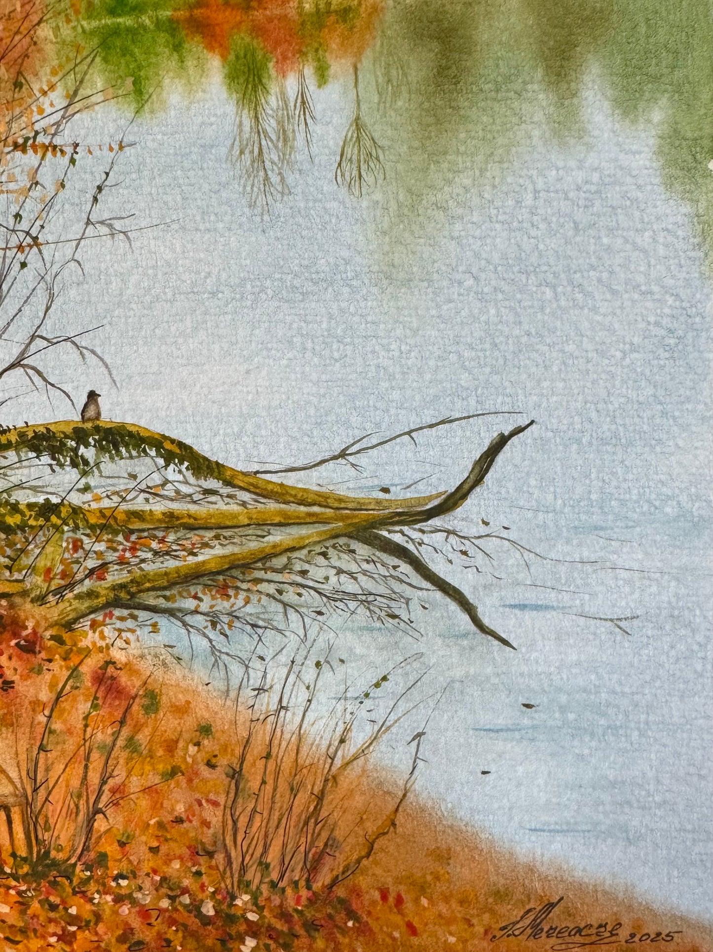 “Autumn in Milan” Tatiana Mereacre (2025)