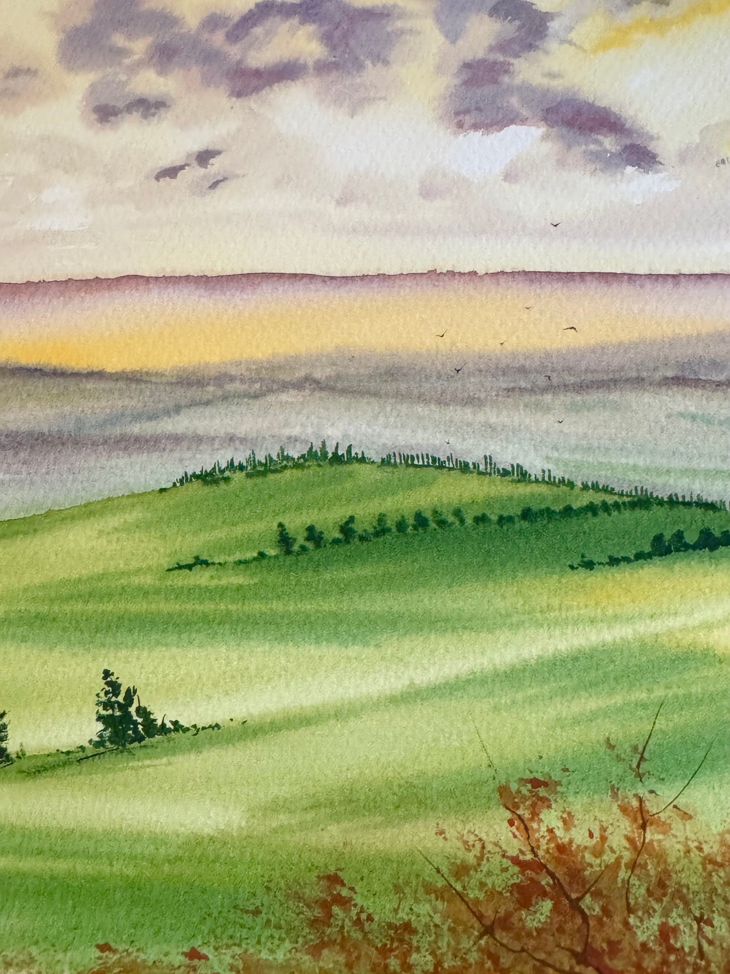 "Whispers of Tuscany" — Tatiana Mereacre (2024)